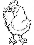  2014年(甲午歲)，生肖屬「雞」人士的增運方法