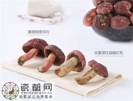 红菇的营养价值 红菇的功效与作用