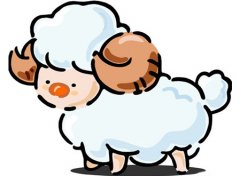 属羊的年份，属羊的出生年份