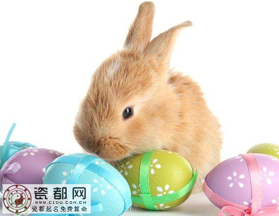复活节为什么有兔子？复活节的兔子的来历