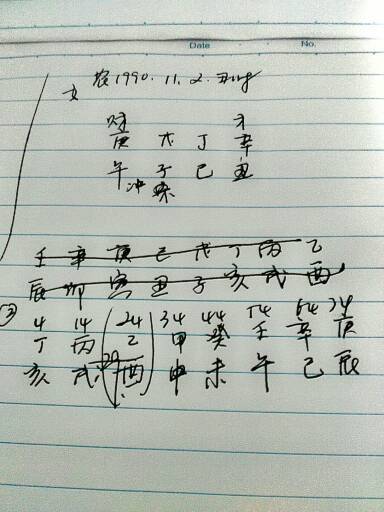 八字有戊子运(八字中的戊子是什么意思)