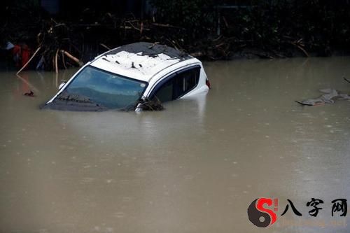 梦见开车掉水里