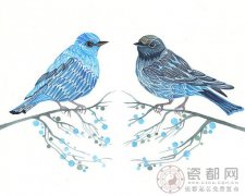 唐立淇2013年4月双鱼座运势