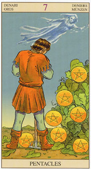 新视角伟特塔罗牌 - Tarot of the New Vision - 钱币七 - Seven Of Pentacles