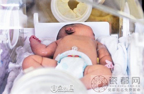 江西籍妈妈泉州顺产巨大女婴 重达11.4斤