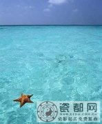 测测看你的财智