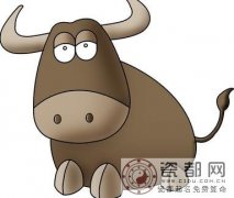 生肖牛在英语中的象征意义