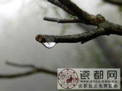 雨水是什么时候？雨水的由来与含义