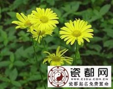 3月18日生日密码