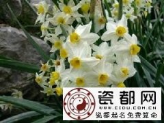 3月23日生日密码