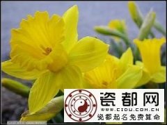 3月27日生日密码