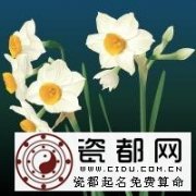 4月9日生日密码