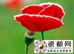 6月18日生日密码