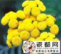 8月23日生日密码