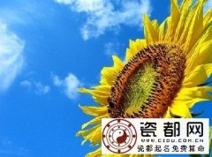 8月24日生日密码