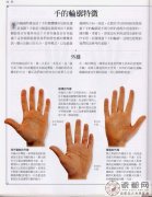 《手相学习百科》：手的轮廓特征