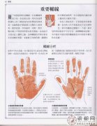 《手相学习百科》：手相重要辅线