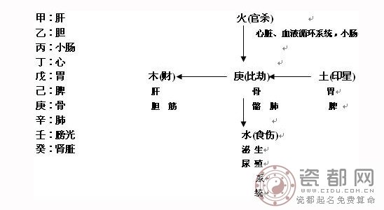 五行代表的器官