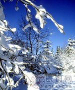 入冬“大雪”南北习俗不同