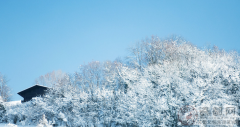 2014年大雪节气是哪天