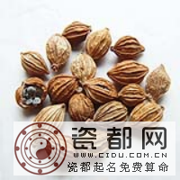 缩砂密的功效与作用 三联