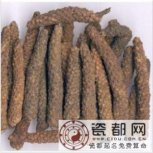 荜茏的功效与作用 三联