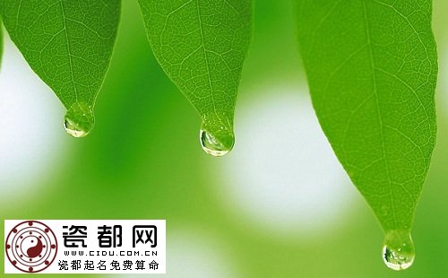 禅师的眼泪