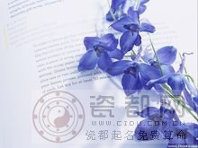 蓝色紫罗兰的花语