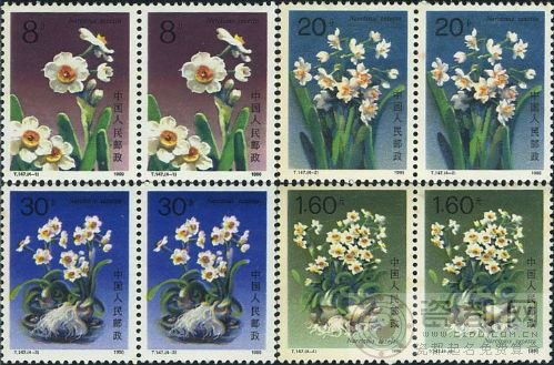 “水仙花”特种邮票