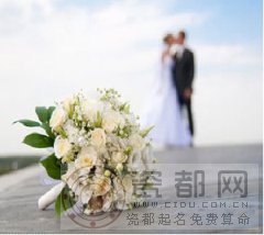 法国结婚24年是什么婚——萨丁婚