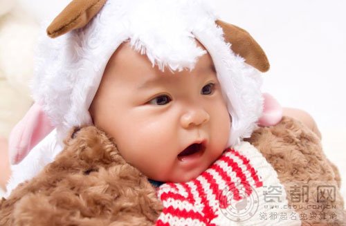 羊宝宝的性格特征