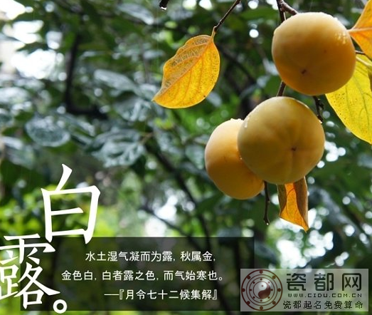 白露节气是什么意思1