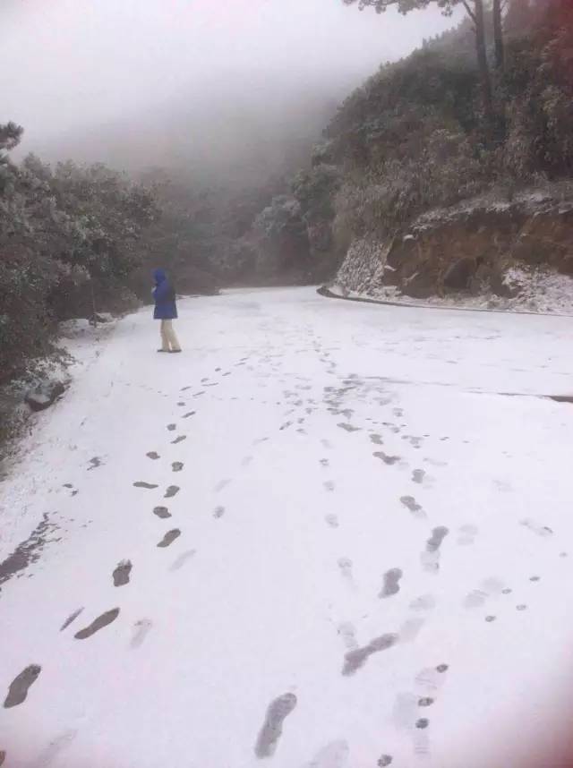 德化雪景实时滚动播报