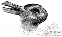 你先看到鸭子还是兔？一张图测试大脑转速