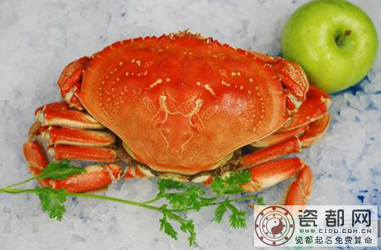 珍宝蟹和面包蟹的区别？珍宝蟹和面包蟹哪个好吃？
