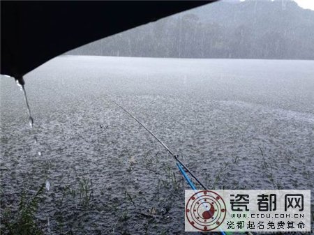 十月下雨能钓鱼吗?十月下雨天鲢鱼好钓吗?