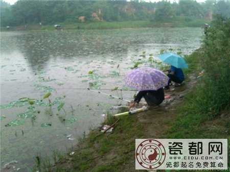 十月下雨能钓鱼吗?十月下雨天鲢鱼好钓吗?