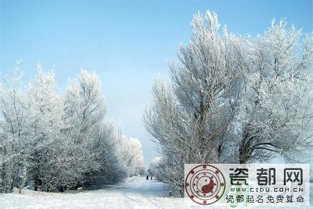 下雪天会打雷吗？下雪天为什么会大雷？