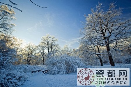 下雪天会打雷吗？下雪天为什么会大雷？