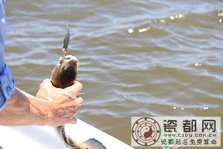 冬天钓鱼好钓吗?冬天钓鱼用什么鱼饵