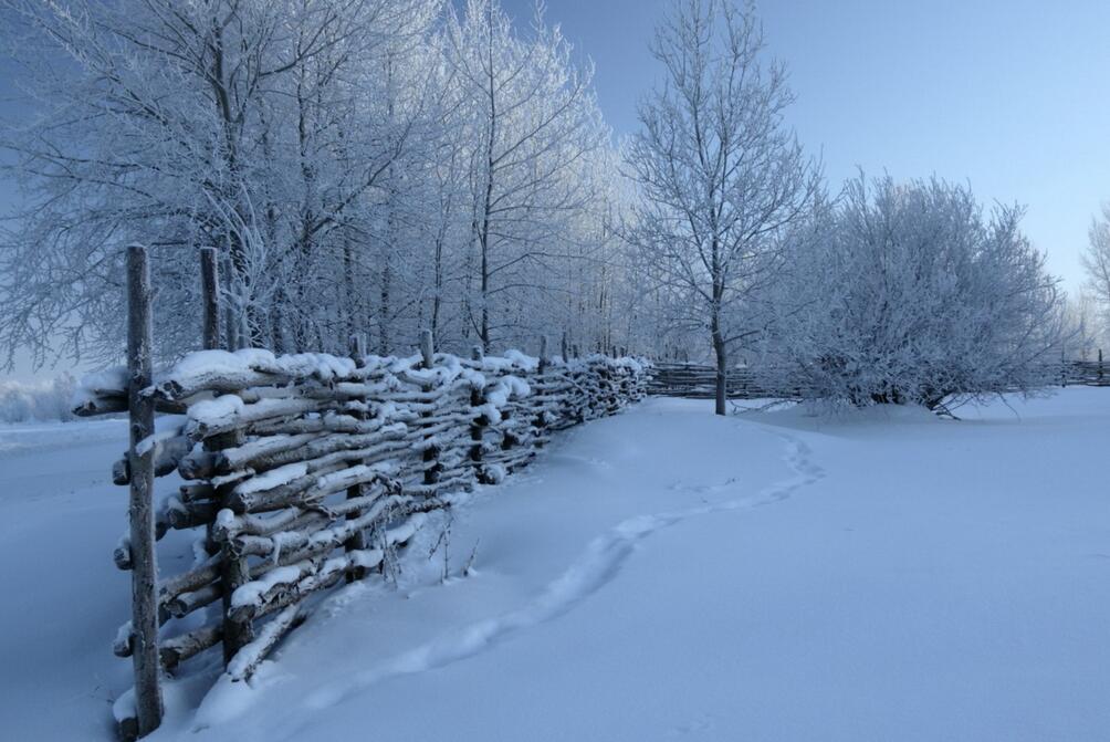 大雪