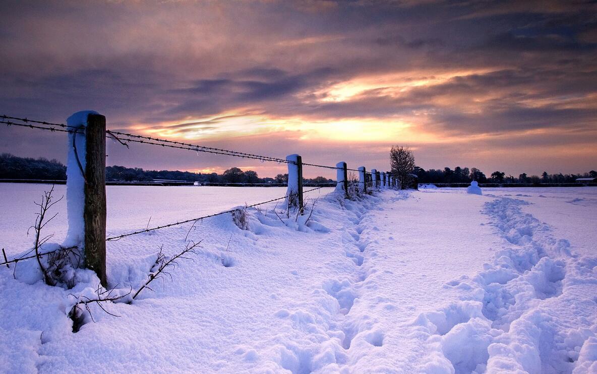 大雪