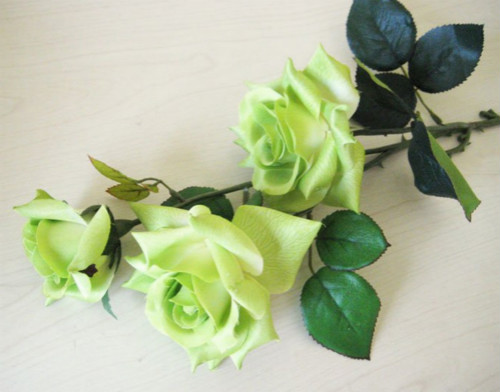 绿玫瑰也象征着常青的永恒爱情