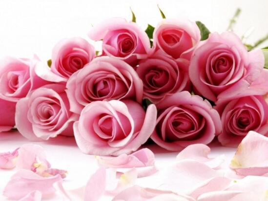 粉玫瑰花语是什么，粉玫瑰代表什么意思？