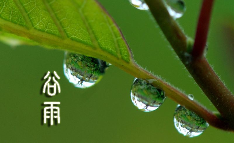 2017年-2036年谷雨时间表