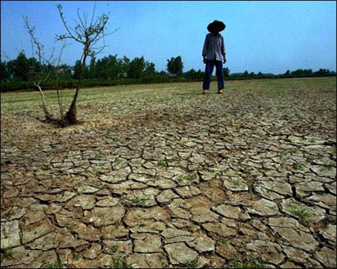 谷雨节气期间的主要天气特点