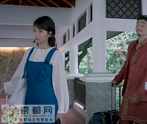 欢乐颂2第一集安迪刘涛的包包是什么牌子？