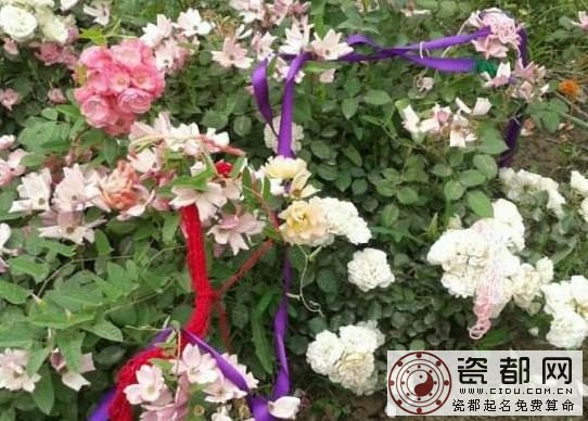 2017芒种有哪些习俗