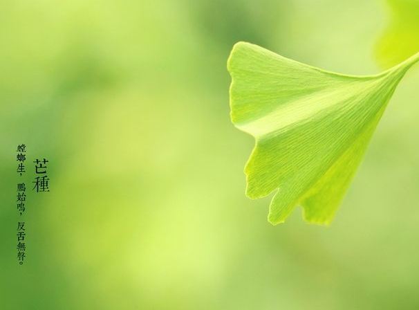 关于芒种节气的养生 不能忽视那些疾病？