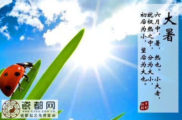 大暑节气的传统习俗有哪些？